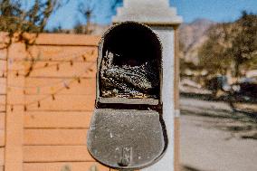 Eaton Fire Aftermath - CA