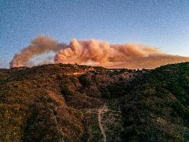 Palisades Fire - CA