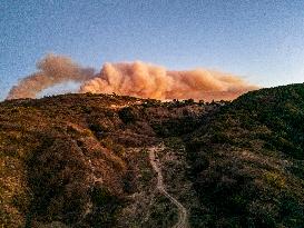 Palisades Fire - CA