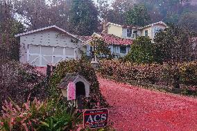 Wildfires Continue In Los Angeles County
