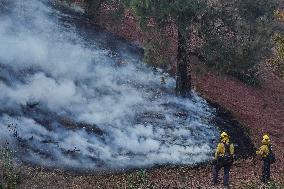 Wildfires Continue In Los Angeles County