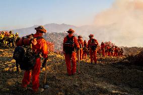 California Wildfires Death Toll Rises To 24