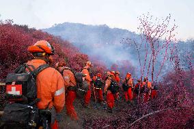 California Wildfires Death Toll Rises To 24