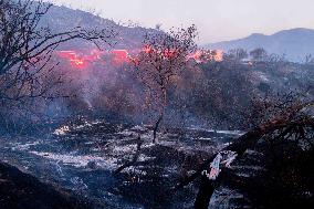 California Wildfires Death Toll Rises To 24