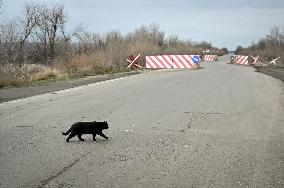 Ukrainian police officers at roadblock in Zaporizhzhia region