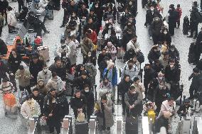 2025 Spring Festival Travel Rush Kicked Off