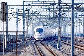2025 Spring Festival Travel Rush Kicked Off