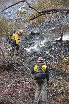 Wildfires in California