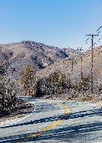 Aftermath Of Los Angeles Wildfires