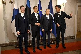 Summit of the Baltic Sea NATO countries in Helsinki