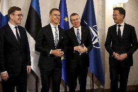 Summit of the Baltic Sea NATO countries in Helsinki