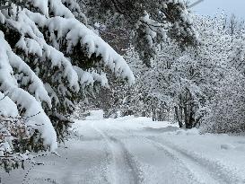 Wintry conditions in Estonia