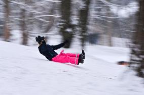 Stryiskyi Park in Lviv in winter