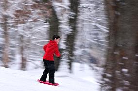 Stryiskyi Park in Lviv in winter