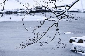 Stryiskyi Park in Lviv in winter