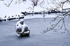 Stryiskyi Park in Lviv in winter