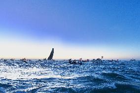 Charlie Dalin Celebrates After Crossing The Finish Line Of Vendee Globe - Sables-d'Olonne