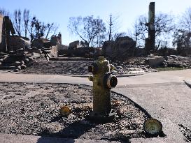 California Wildfires Aftermath