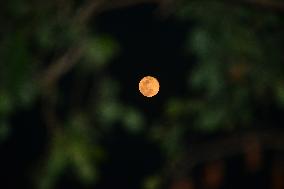 Siliguri Full Moon