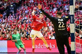 ALTRO - Pallamano - IHF Men's - Handball World Championship - Denmark vs Algeria