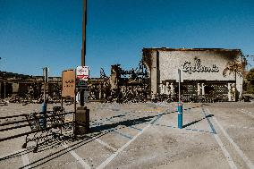 Aftermath Of Los Angeles Wildfires