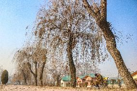 Daily Life In Kashmir