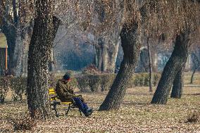 Daily Life In Kashmir