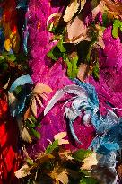 Dolce&Gabbana Exhibition - Paris