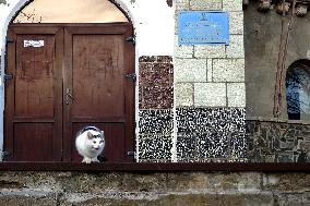 Kuialnyk Sanatorium in OdesaKuialnyk Sanatorium in Odesa