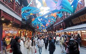 Chinese Lunar New Year Folk Art Lantern Festival of the Year of the Snake at Yu Garden in Shanghai