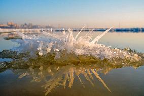 Salt Lake Winter Landscape