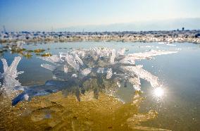 Salt Lake Winter Landscape