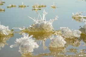 Salt Lake Winter Landscape