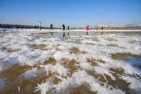 Salt Lake Winter Landscape