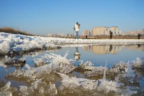 Salt Lake Winter Landscape