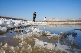 Salt Lake Winter Landscape