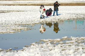 Salt Lake Winter Landscape