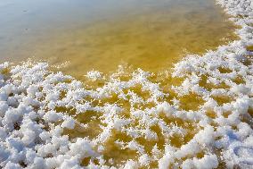 Salt Lake Winter Landscape