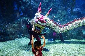 Underwater Dragon Dance Performance To Celebrate The Lunar New Year.