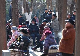 Chinese Elderly