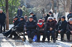 Chinese Elderly