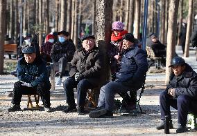 Chinese Elderly