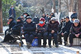 Chinese Elderly