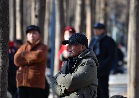 Chinese Elderly