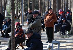 Chinese Elderly