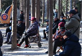 Chinese Elderly