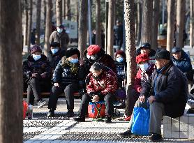 Chinese Elderly