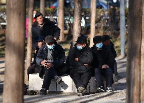 Chinese Elderly