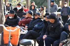 Chinese Elderly