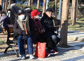 Chinese Elderly